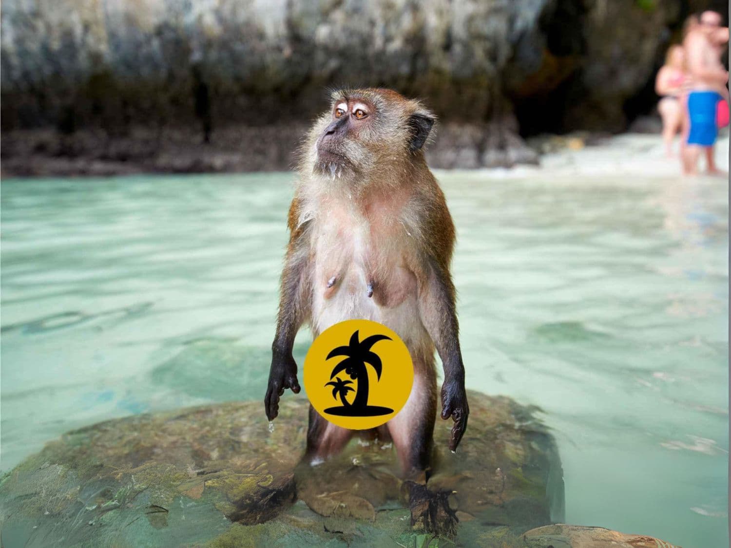 Five Star Thailand Local Tours on Koh Phi Phi