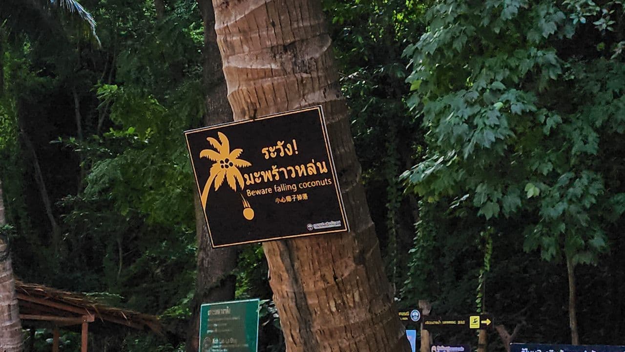 Krabi Islands Private Longtail Tour - Gallery image 2