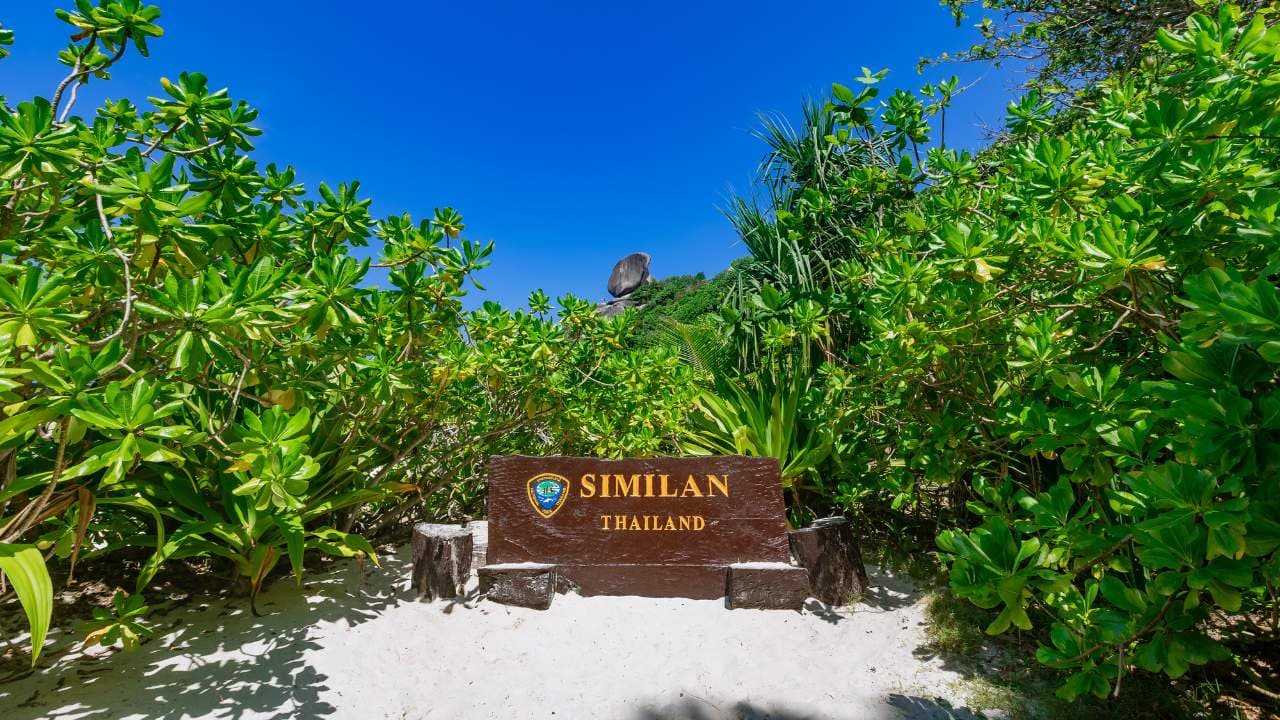 Similan Islands Private Speedboat Tour  - Gallery image 7