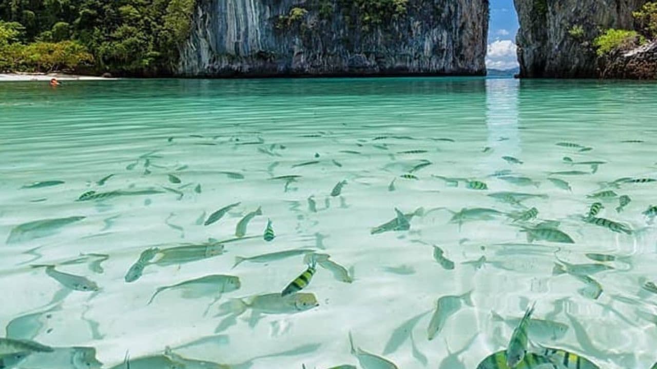 Krabi Islands Private Speedboat Tour - Gallery image 7