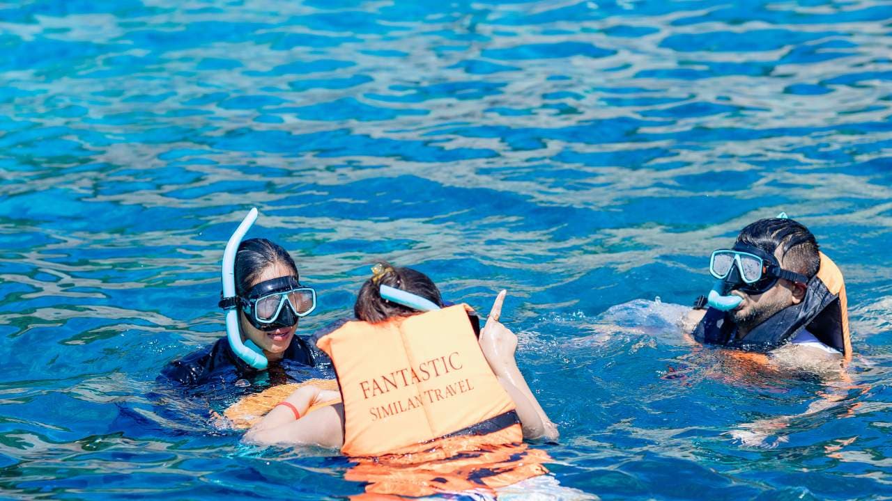 Similan Islands Private Speedboat Tour  - snorkeling similan islands private tour with guide