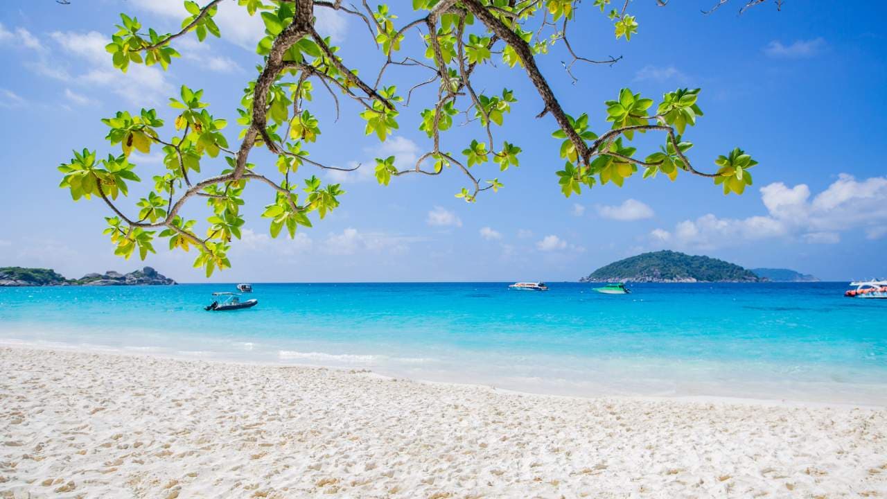 Similan Island Sunrise Private Tour - early bird similan island tour