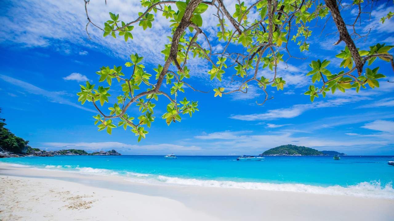 Similan Island Sunrise Private Tour - private tours koh similan